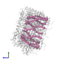 1,2-Dihydro-psi,psi-caroten-1-ol in PDB entry 7zcu, assembly 1, side view.