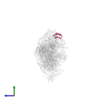 NADH dehydrogenase [ubiquinone] 1 alpha subcomplex subunit 2 in PDB entry 7zdm, assembly 1, side view.