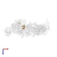 NADH dehydrogenase [ubiquinone] 1 alpha subcomplex subunit 6 in PDB entry 7zdm, assembly 1, top view.