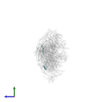 NADH dehydrogenase [ubiquinone] 1 alpha subcomplex subunit 7 in PDB entry 7zdm, assembly 1, side view.