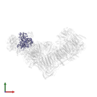 NADH:ubiquinone oxidoreductase core subunit S1 in PDB entry 7zdm, assembly 1, front view.