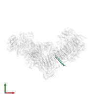 NADH dehydrogenase [ubiquinone] 1 subunit C1, mitochondrial in PDB entry 7zdm, assembly 1, front view.