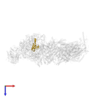 NADH dehydrogenase [ubiquinone] iron-sulfur protein 7, mitochondrial in PDB entry 7zdm, assembly 1, top view.