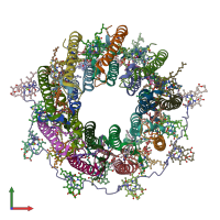 PDB entry 7ze8 coloured by chain, front view.