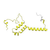 The deposited structure of PDB entry 7zeb contains 1 copy of Pfam domain PF10200 (NADH:ubiquinone oxidoreductase, NDUFS5-15kDa) in NADH dehydrogenase [ubiquinone] iron-sulfur protein 5. Showing 1 copy in chain O [auth l].