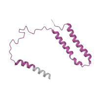 The deposited structure of PDB entry 7zeb contains 1 copy of Pfam domain PF00507 (NADH-ubiquinone/plastoquinone oxidoreductase, chain 3) in NADH-ubiquinone oxidoreductase chain 3. Showing 1 copy in chain B [auth A].