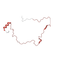 The deposited structure of PDB entry 7zeb contains 1 copy of Pfam domain PF07347 (NADH:ubiquinone oxidoreductase subunit B14.5a (Complex I-B14.5a)) in NADH dehydrogenase [ubiquinone] 1 alpha subcomplex subunit 7. Showing 1 copy in chain QA [auth h].