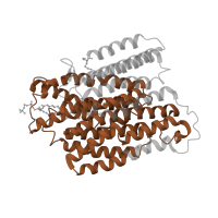The deposited structure of PDB entry 7zeb contains 1 copy of Pfam domain PF00361 (Proton-conducting membrane transporter) in NADH-ubiquinone oxidoreductase chain 4. Showing 1 copy in chain G [auth M].
