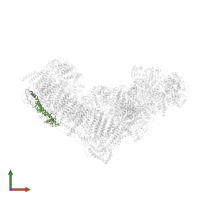 NADH dehydrogenase [ubiquinone] 1 beta subcomplex subunit 10 in PDB entry 7zeb, assembly 1, front view.