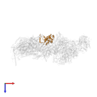 NADH dehydrogenase [ubiquinone] 1 alpha subcomplex subunit 10, mitochondrial in PDB entry 7zeb, assembly 1, top view.