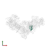 NADH dehydrogenase [ubiquinone] iron-sulfur protein 7, mitochondrial in PDB entry 7zeb, assembly 1, front view.