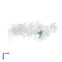 NADH dehydrogenase [ubiquinone] iron-sulfur protein 7, mitochondrial in PDB entry 7zeb, assembly 1, top view.