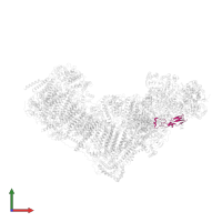 NADH dehydrogenase [ubiquinone] iron-sulfur protein 6, mitochondrial in PDB entry 7zeb, assembly 1, front view.