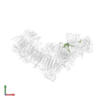 NADH dehydrogenase [ubiquinone] iron-sulfur protein 4, mitochondrial in PDB entry 7zeb, assembly 1, front view.