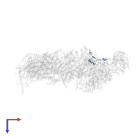 NADH dehydrogenase [ubiquinone] 1 alpha subcomplex subunit 7 in PDB entry 7zeb, assembly 1, top view.