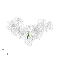 NADH-ubiquinone oxidoreductase chain 4L in PDB entry 7zeb, assembly 1, front view.