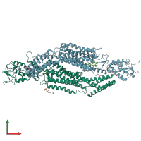 PDB entry 7zi0 coloured by chain, front view.