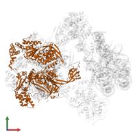 RuvB-like 2 in PDB entry 7zi4, assembly 1, front view.