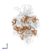 RuvB-like 2 in PDB entry 7zi4, assembly 1, side view.