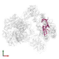 Histone H4 in PDB entry 7zi4, assembly 1, front view.
