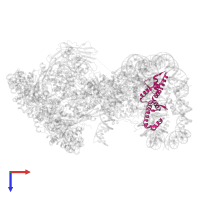 Histone H4 in PDB entry 7zi4, assembly 1, top view.