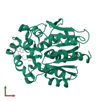 Haloalkane dehalogenase in PDB entry 7zix, assembly 1, front view.