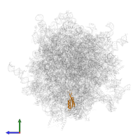 Small ribosomal subunit protein uS10 in PDB entry 7zjw, assembly 1, side view.