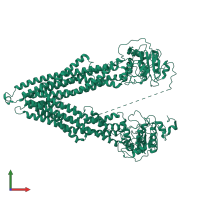 ATP-dependent translocase ABCB1 in PDB entry 7zkb, assembly 1, front view.