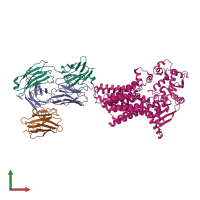 PDB entry 7zlh coloured by chain, front view.