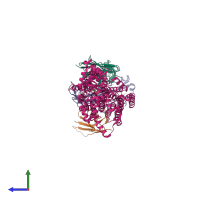 Hetero tetrameric assembly 1 of PDB entry 7zli coloured by chemically distinct molecules, side view.