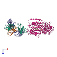 Hetero tetrameric assembly 1 of PDB entry 7zli coloured by chemically distinct molecules, top view.