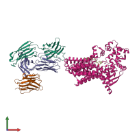 PDB entry 7zli coloured by chain, front view.