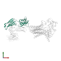 CMT2-Fab heavy chain in PDB entry 7zli, assembly 1, front view.