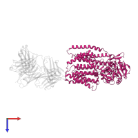 C-mannosyltransferase dpy-19 in PDB entry 7zli, assembly 1, top view.