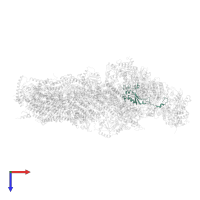 NADH dehydrogenase [ubiquinone] iron-sulfur protein 4, mitochondrial in PDB entry 7zm7, assembly 1, top view.