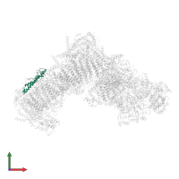 NADH-ubiquinone oxidoreductase-like protein in PDB entry 7zmb, assembly 1, front view.