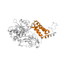 The deposited structure of PDB entry 7zmg contains 1 copy of Pfam domain PF10589 (NADH-ubiquinone oxidoreductase-F iron-sulfur binding region) in NADH dehydrogenase [ubiquinone] flavoprotein 1, mitochondrial. Showing 1 copy in chain J [auth B].