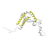 The deposited structure of PDB entry 7zmg contains 1 copy of Pfam domain PF04716 (ETC complex I subunit conserved region) in NADH-ubiquinone oxidoreductase-like protein. Showing 1 copy in chain N [auth F].