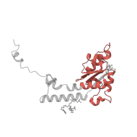 The deposited structure of PDB entry 7zmg contains 1 copy of Pfam domain PF01058 (NADH ubiquinone oxidoreductase, 20 Kd subunit) in NADH:ubiquinone oxidoreductase-like 20kDa subunit domain-containing protein. Showing 1 copy in chain S [auth K].