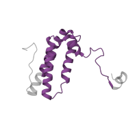 The deposited structure of PDB entry 7zmg contains 1 copy of Pfam domain PF13233 (Complex1_LYR-like) in Complex 1 LYR protein domain-containing protein. Showing 1 copy in chain W [auth P].