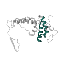 The deposited structure of PDB entry 7zmg contains 1 copy of Pfam domain PF06747 (CHCH domain) in NADH-ubiquinone oxidoreductase. Showing 1 copy in chain AA [auth U].