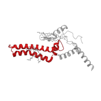 The deposited structure of PDB entry 7zmg contains 1 copy of Pfam domain PF10785 (NADH-ubiquinone oxidoreductase complex I, 21 kDa subunit) in NADH-ubiquinone oxidoreductase-like protein. Showing 1 copy in chain CA [auth X].