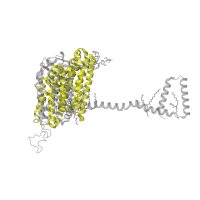 The deposited structure of PDB entry 7zmg contains 1 copy of Pfam domain PF00361 (Proton-conducting membrane transporter) in NADH-ubiquinone oxidoreductase chain 5. Showing 1 copy in chain E [auth 5].