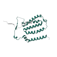The deposited structure of PDB entry 7zmg contains 1 copy of Pfam domain PF00499 (NADH-ubiquinone/plastoquinone oxidoreductase chain 6) in NADH-ubiquinone oxidoreductase chain 6. Showing 1 copy in chain F [auth 6].