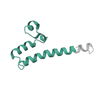 The deposited structure of PDB entry 7zmg contains 1 copy of Pfam domain PF05676 (NADH-ubiquinone oxidoreductase B18 subunit (NDUFB7)) in NADH dehydrogenase [ubiquinone] 1 beta subcomplex subunit 7. Showing 1 copy in chain G [auth 8].