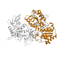 The deposited structure of PDB entry 7zmg contains 1 copy of Pfam domain PF00384 (Molybdopterin oxidoreductase) in NADH-ubiquinone oxidoreductase-like protein. Showing 1 copy in chain I [auth A].