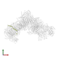 NADH dehydrogenase [ubiquinone] 1 beta subcomplex subunit 11, mitochondrial in PDB entry 7zmg, assembly 1, front view.