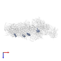 CARDIOLIPIN in PDB entry 7zmg, assembly 1, top view.