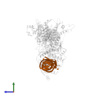 59-nt precursor of miR-15a in PDB entry 7zpj, assembly 1, side view.