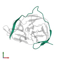 Serine protease subunit NS2B in PDB entry 7zq1, assembly 1, front view.